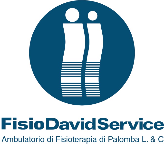 FISIO DAVID SERVICE